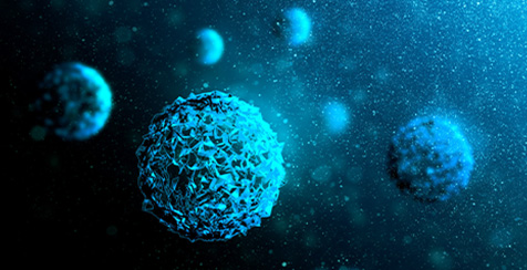 An IL-15-Modified NKp30×HER2 Trispecific NK Cell Engager Enhances NK Cell Activation and Tumor Cell Killing