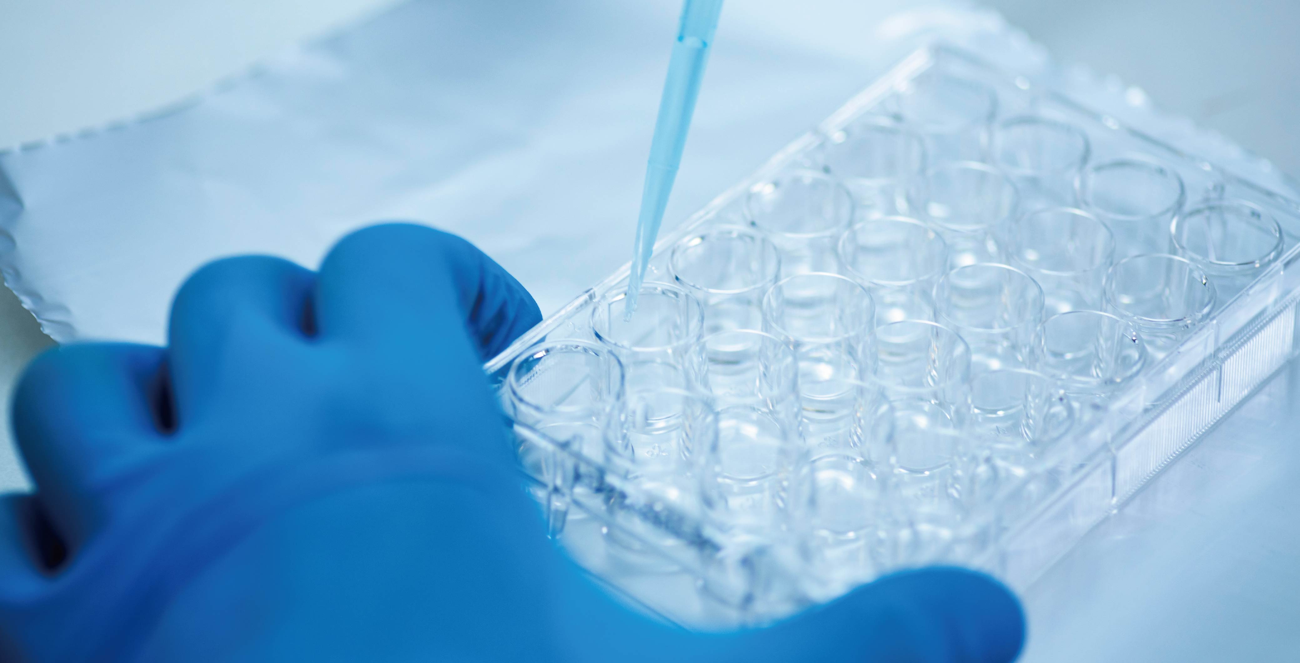 实验时间告急？这款预包被板让肝细胞培养“贴”然自若！