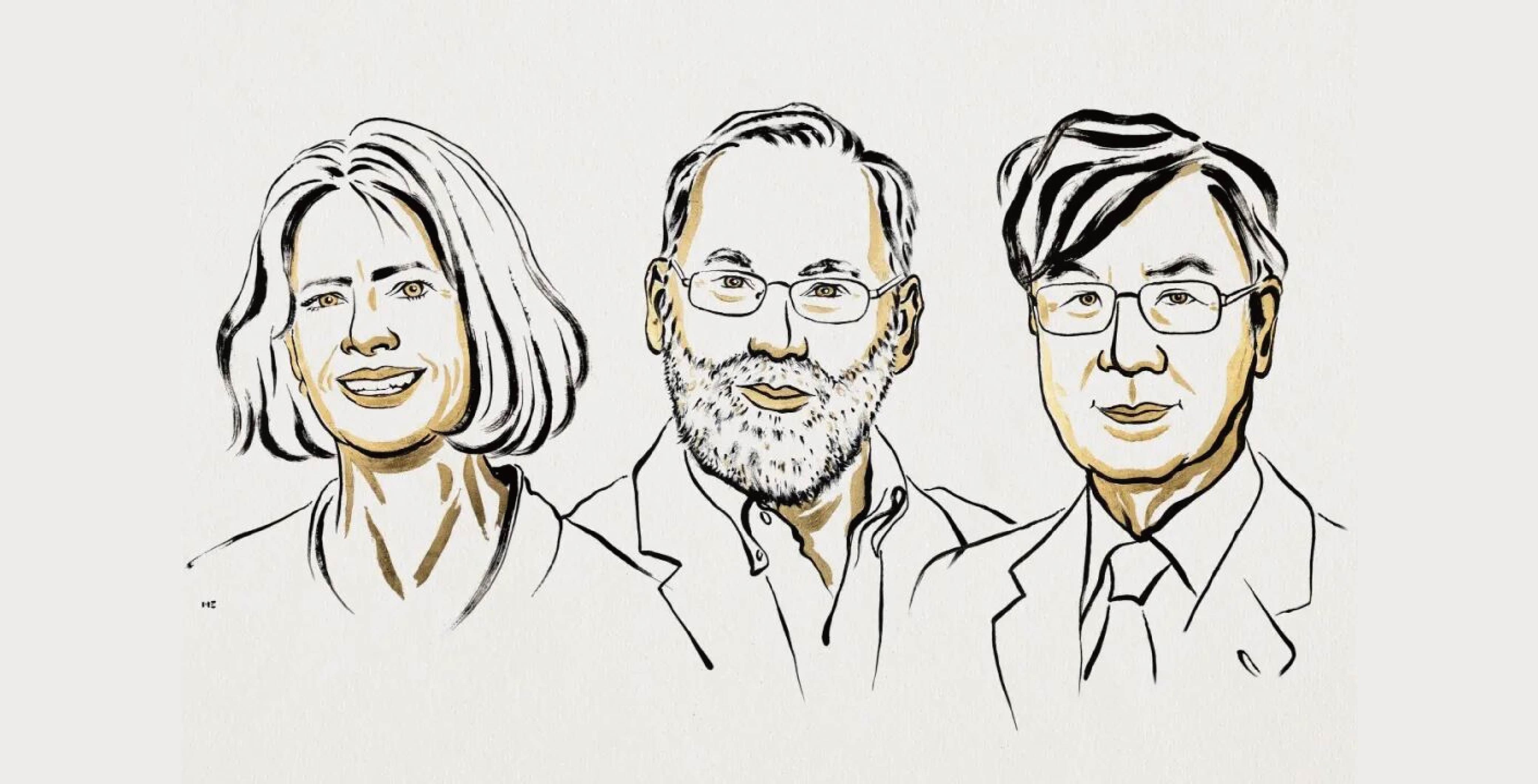 2025年诺贝尔生理学或医学奖：解密机体免疫卫士的奥秘