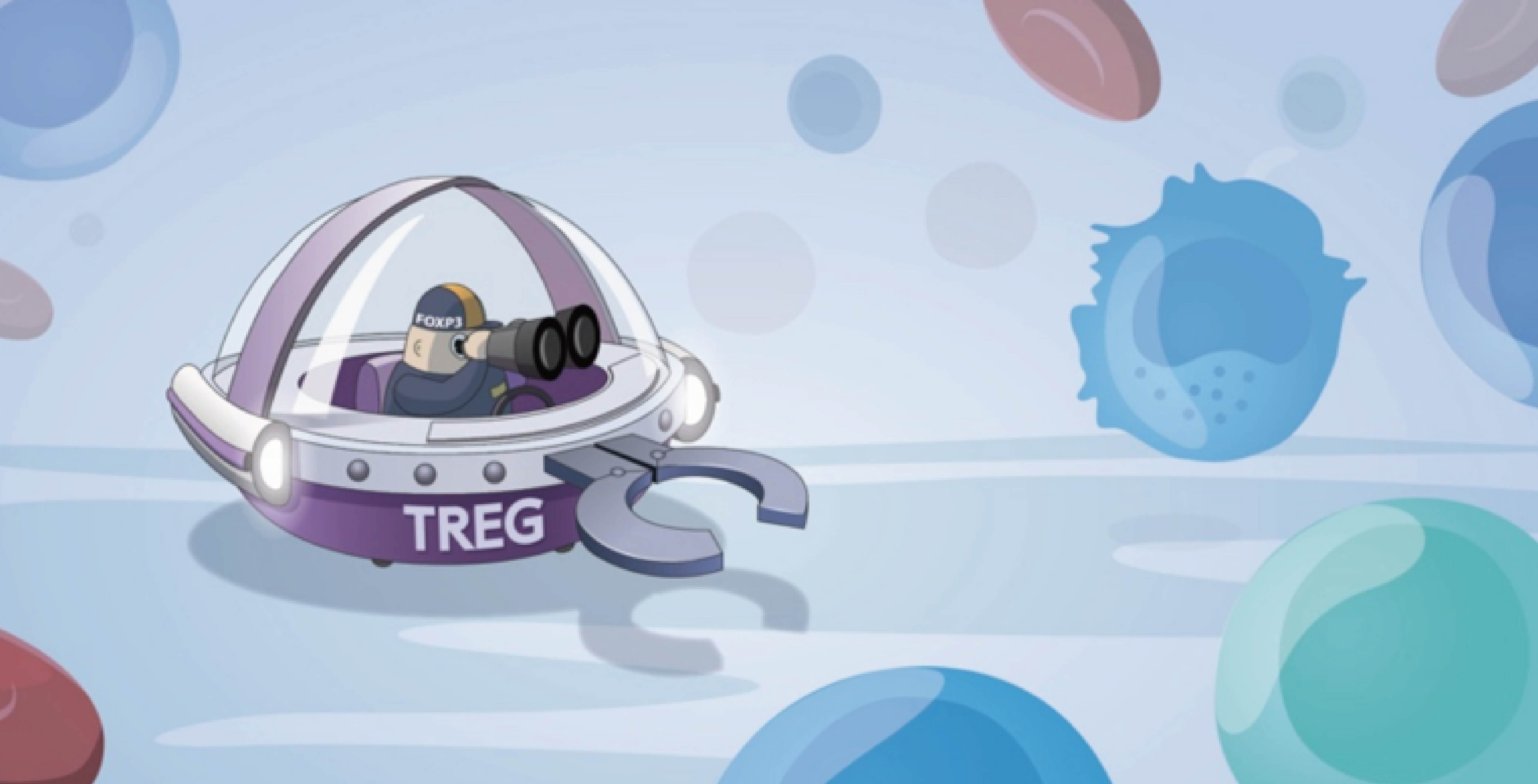 妙顺生物 | iTreg 诱导制备服务