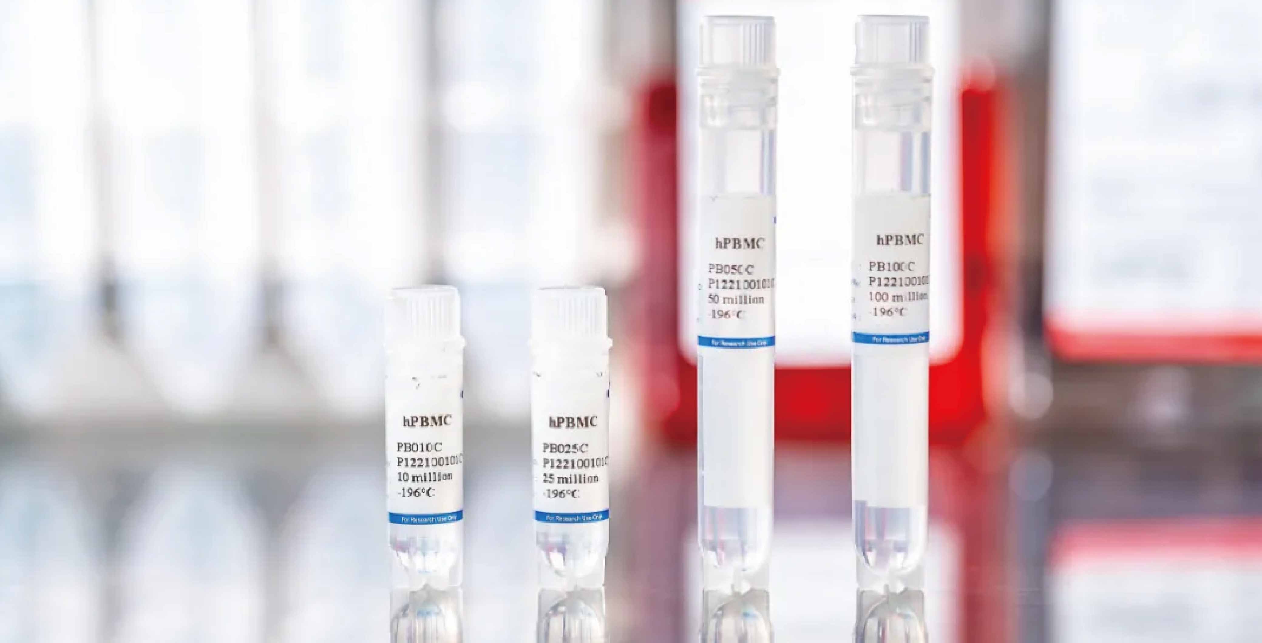 新品上市｜PBMC  NOG-dKO 小鼠体内建模验证服务