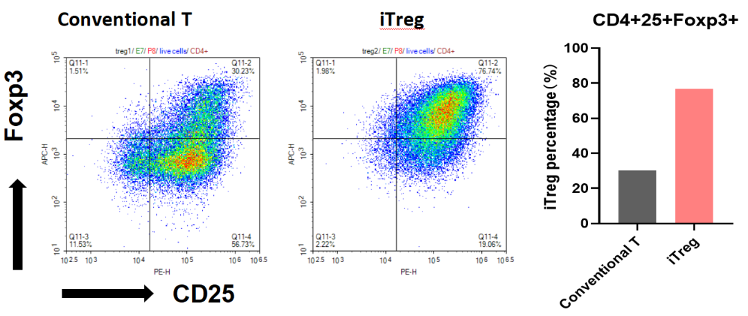 妙顺生物 | iTreg 诱导制备服务(图2)