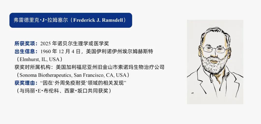 2025年诺贝尔生理学或医学奖：解密机体免疫卫士的奥秘(图3)
