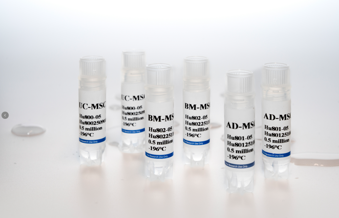 新品上市|妙顺生物推出人间充质干细胞分离服务(图1)