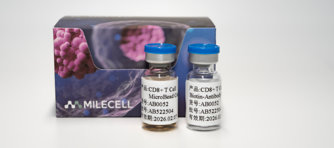 更懂细胞，更优分选系列（五）| Milecell MagSep™ CD8+ T细胞阴选试剂盒(图1)