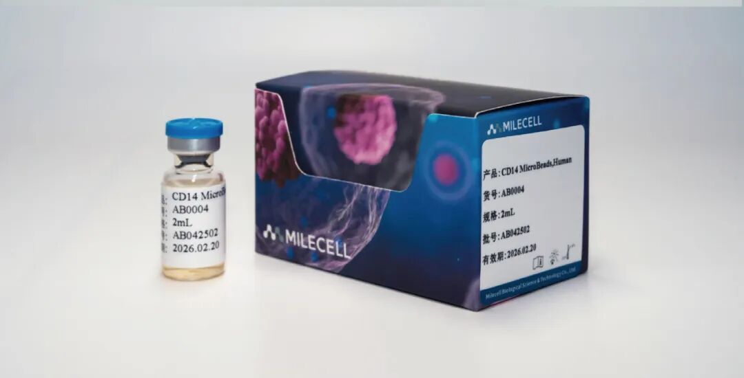 更懂细胞，更优分选系列（五）| Milecell MagSep™ CD8+ T细胞阴选试剂盒(图13)