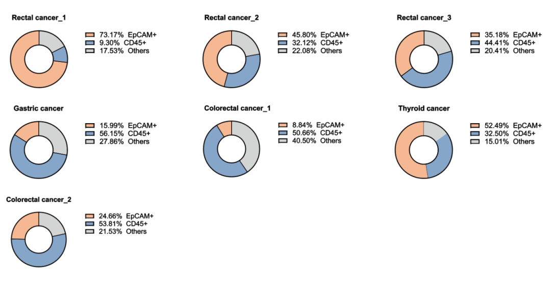 新品上市 | 解离的肿瘤原代细胞(DTCs)分离冻存服务(图4)