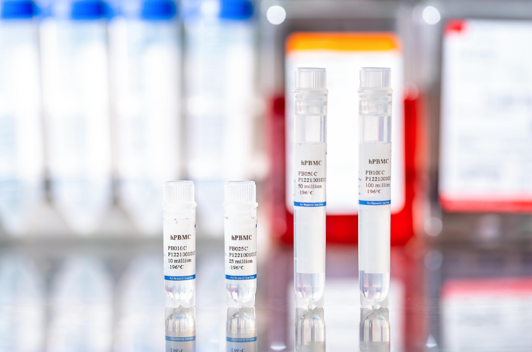 新品上市|PBMC NOG-dKO 小鼠体内建模验证服务(图2)