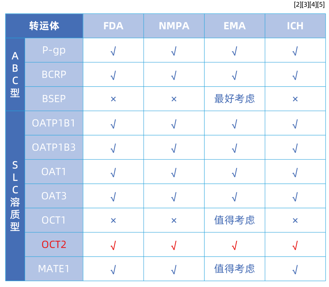 SLC转运体系列（二）即用型“人OCT2转运体细胞”全新亮相(图2)