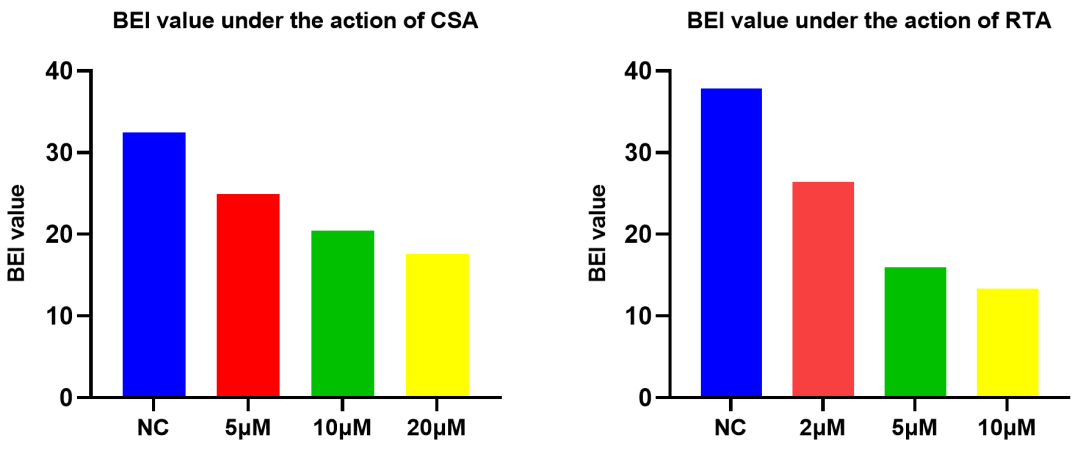 肝细胞三明治夹层培养模型：革新药物代谢与转运研究的关键工具(图3)